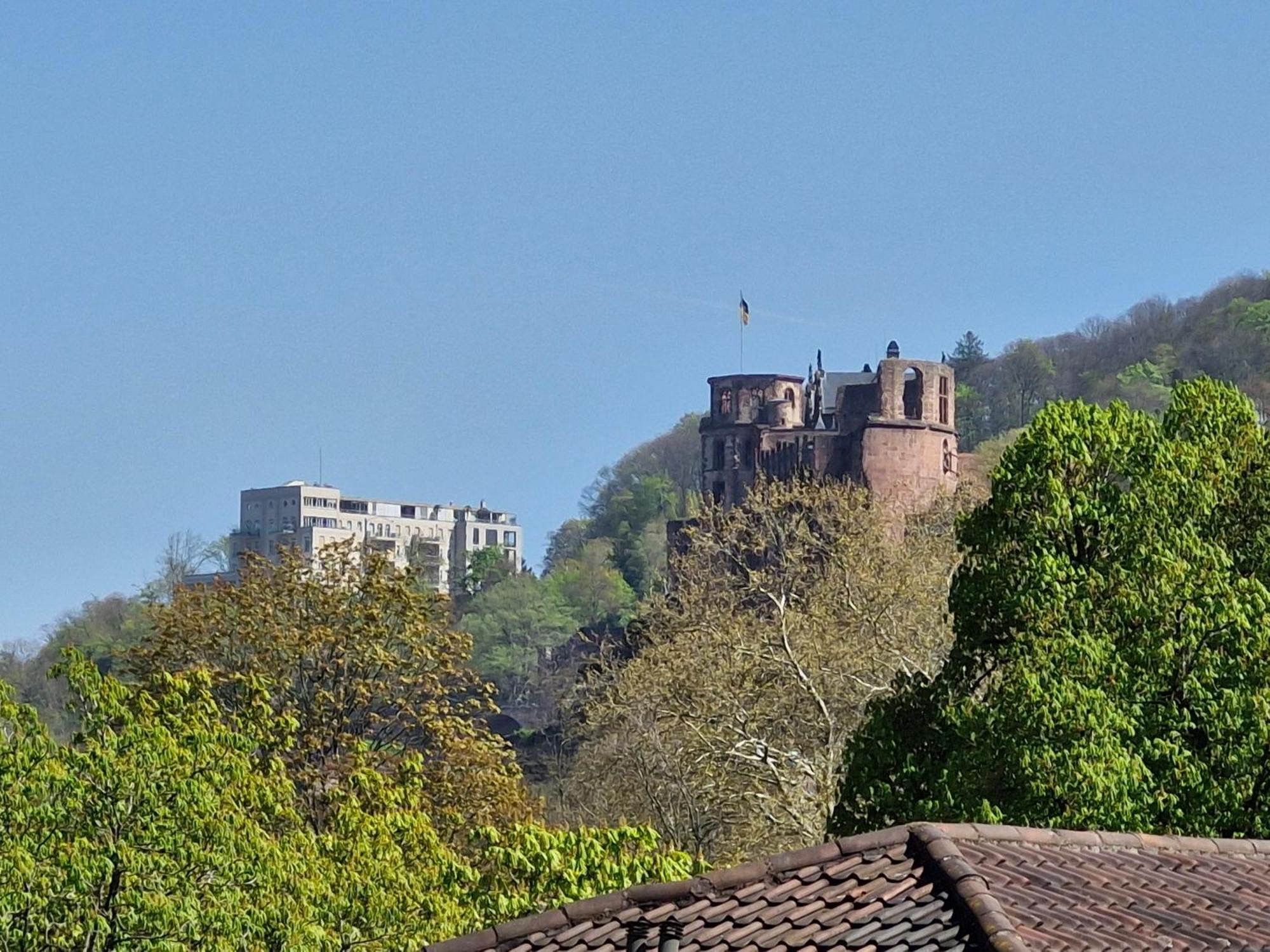 Altstadtblick Heidelberg Exterior foto