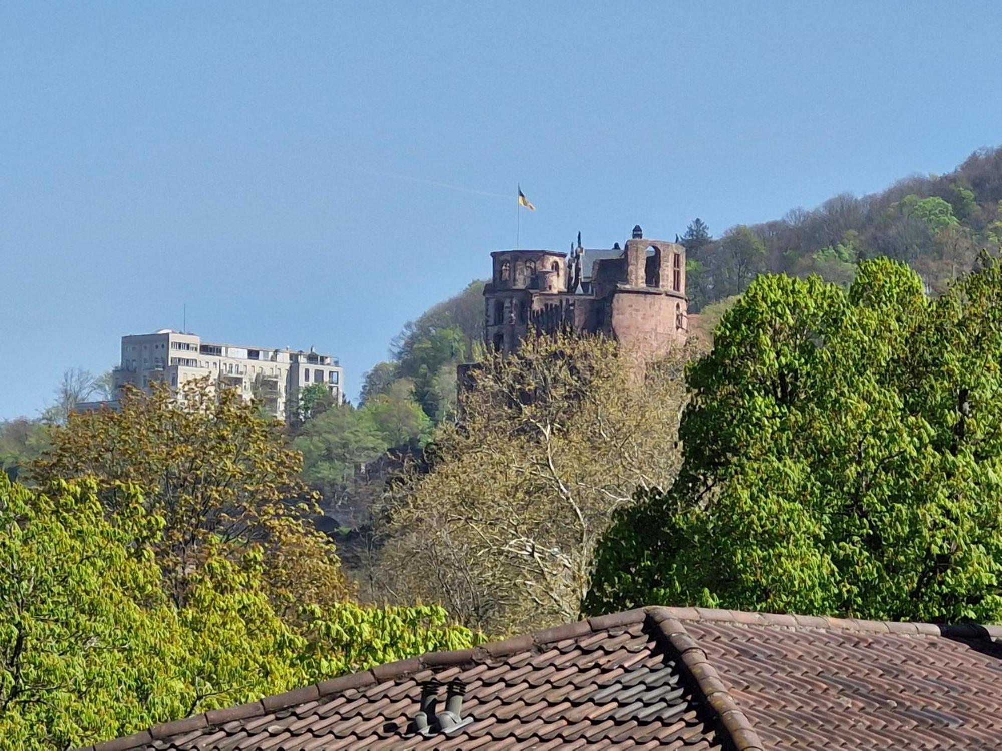 Altstadtblick Heidelberg Exterior foto