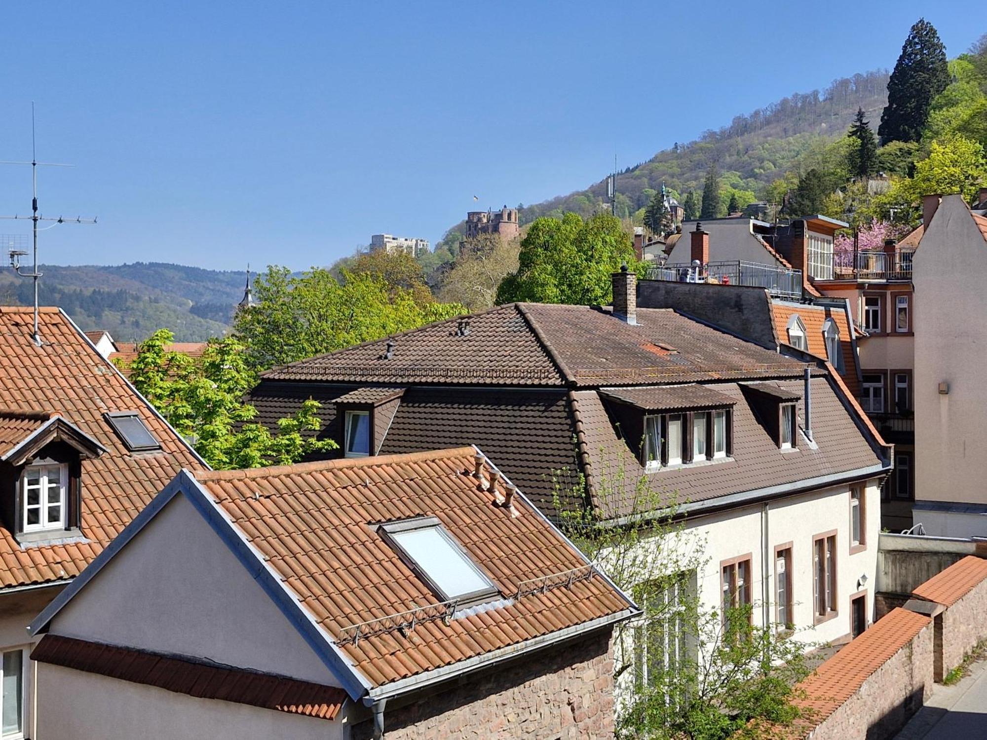 Altstadtblick Heidelberg Exterior foto