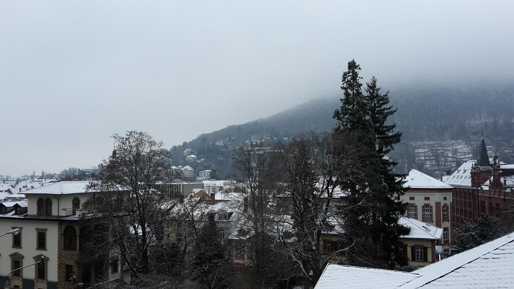 Altstadtblick Heidelberg Exterior foto